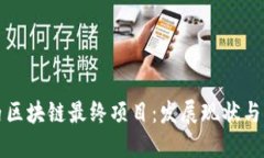 解密国内区块链最终项目