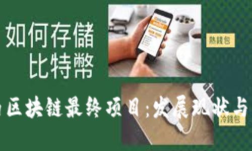 解密国内区块链最终项目：发展现状与未来趋势