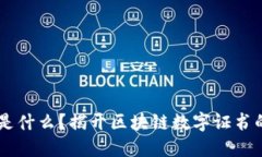 区块链CA是什么？揭开区块