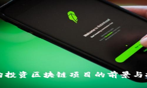 机构投资区块链项目的前景与挑战