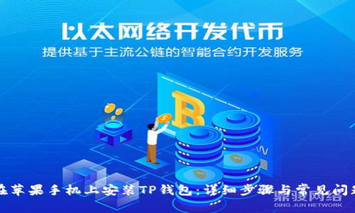 如何在苹果手机上安装TP钱包：详细步骤与常见问题解答