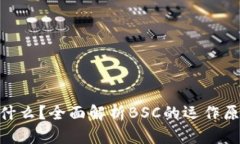 区块链BSC是什么？全面解