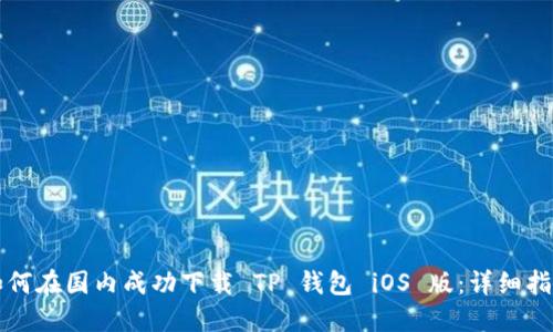 如何在国内成功下载 TP 钱包 iOS 版：详细指南