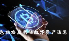 TP钱包跑路后我的数字资产