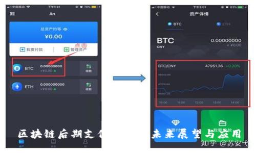 区块链后期支付方式的未来展望与应用