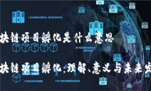 区块链项目孵化是什么意思

区块链项目孵化：理解、意义与未来发展
