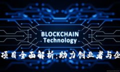 区块链孵化服务项目全面