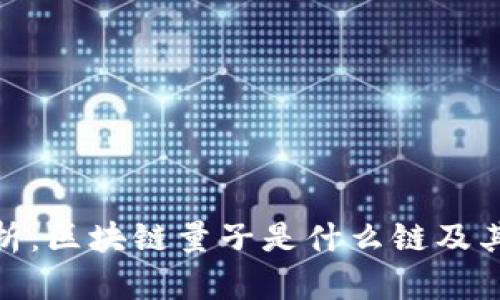 : 深入解析：区块链量子是什么链及其未来发展