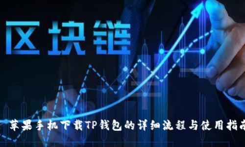 : 苹果手机下载TP钱包的详细流程与使用指南
