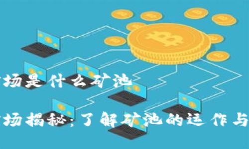 区块链矿场是什么矿池

区块链矿场揭秘：了解矿池的运作与收益机制