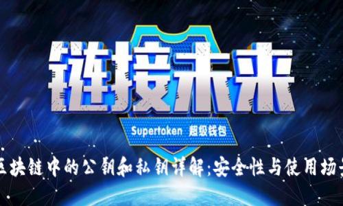 区块链中的公钥和私钥详解：安全性与使用场景