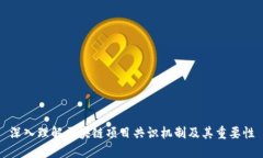 深入理解区块链项目共识机制及其重要性