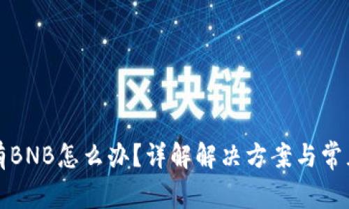 TP钱包没有BNB怎么办？详解解决方案与常见问题解答