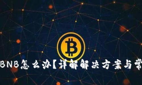 TP钱包没有BNB怎么办？详解解决方案与常见问题解答